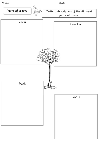 year 1 science plants topic pack teaching resources