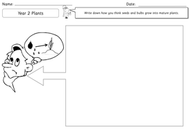 year 2 science plants topic powerpoints planning worksheets