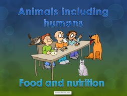 Year 3 science - Animals including humans worksheets, powerpoints ...