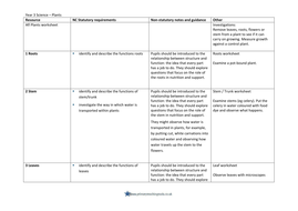 Year 3 science - Plants - powerpoints, worksheets, planning & display ...