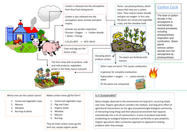 Carbon Cycle | Teaching Resources