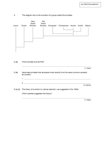 What is evolution | Teaching Resources