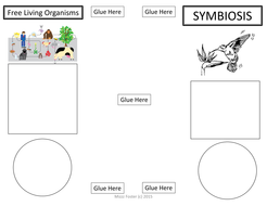 SYMBIOSIS Brochure Foldable, Graphic Organizer, Interactive Notebook