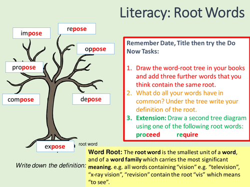 How Root Of A Word  how root