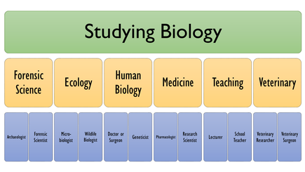 Science-Careers-Information-Board---Vertical.pptx