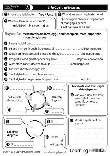 110 ks2 free science worksheets and lesson starters for