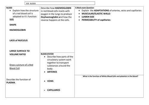 GCSE - Blood and Blood Vessels | Teaching Resources