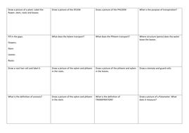 GCSE Revision resources - worksheets for xylem, phloem, water movement