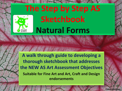 A level Art Resource. The Step by Step Guide to Developing a Thorough A level Art Sketchbook