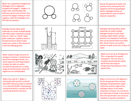 properties of water polarity