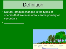 Ecological Succession - Ecology PowerPoint Lesson, Notes and Activity