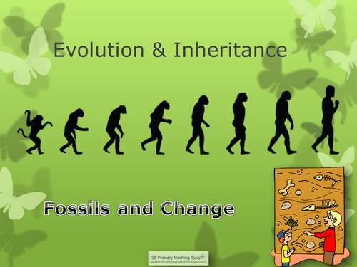 Year 6 Science KS2 Evolution and Inheritance topic pack : powerpoint ...