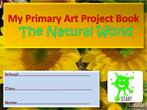 Primary School Art Project Book