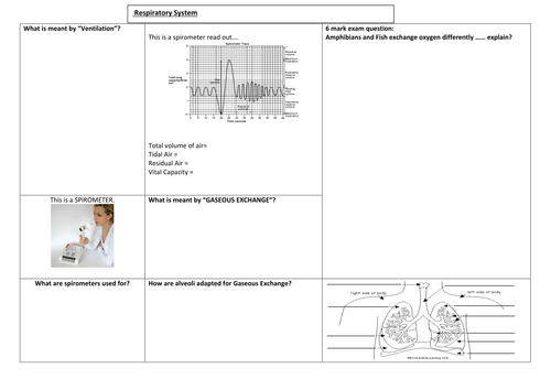 GCSE Biology (Higher Tier / Triple ) - Various Revision Worksheets ...