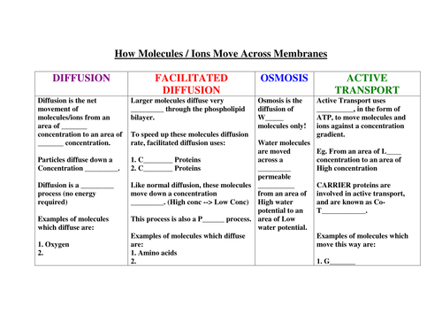 Printables Facilitated Diffusion Worksheet Answers collection of facilitated diffusion worksheet bloggakuten davezan