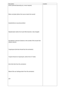 Muscle Contraction Sliding Filament Theory | Teaching Resources