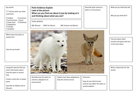 Differentiated Adaptation Research Writing Frames | Teaching Resources