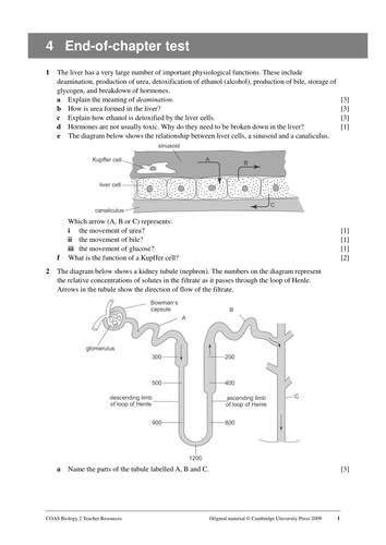 pdf, 175.32 KB