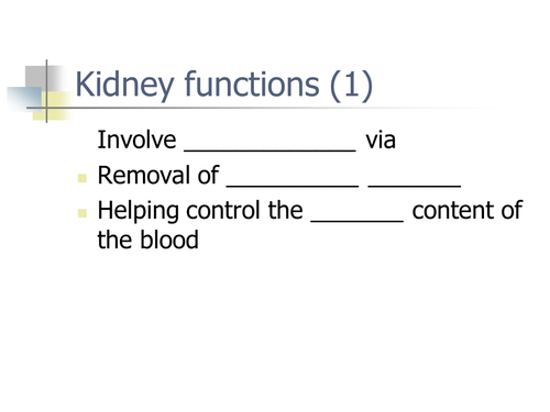 ppt, 151 KB