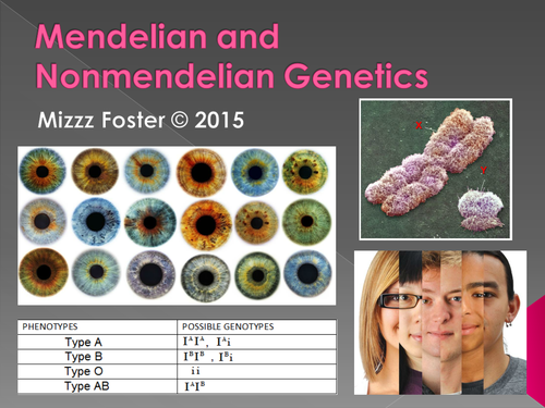 Genetics: Punnett Squares, Mendel, Non-Mendelian Power Point | Teaching