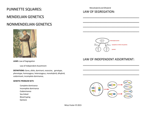 Genetics: Punnett Squares, Mendel, Non-Mendelian Student Worksheets