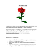 Process of transpiration picture