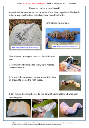 dinosaurs and fossils ks2