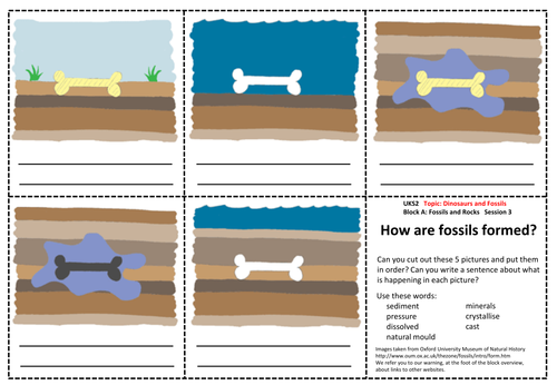 dinosaurs and fossils ks2