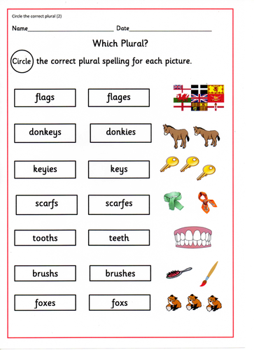 spellings singular nouns into plurals and vice versa presentations