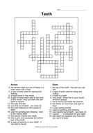 Teeth Crossword Teaching Resources