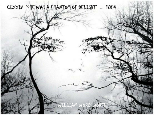 "she was a phantom of delight."   ebscohost
