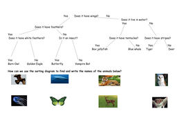 Using Sorting Branch Diagrams (full lesson) | Teaching Resources