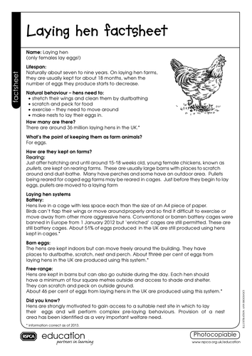 Lesson Plan - Farm animals - What labelling and advertising tells us |  Teaching Resources