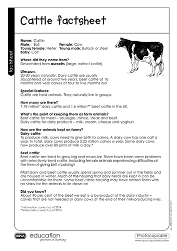 Lesson Plan - Farm animals - What labelling and advertising tells us by