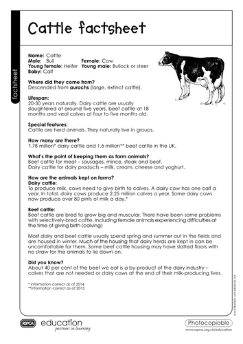 Lesson Plan - Farm animals - What labelling and advertising tells us |  Teaching Resources