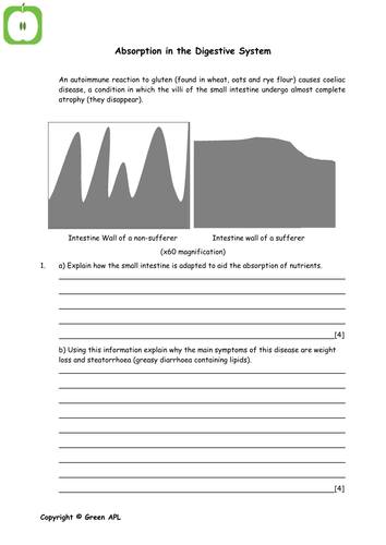 GCSE Biology worksheets | Teaching Resources