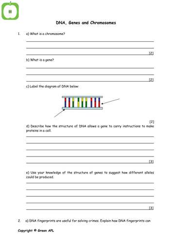 gcse biology worksheets teaching resources