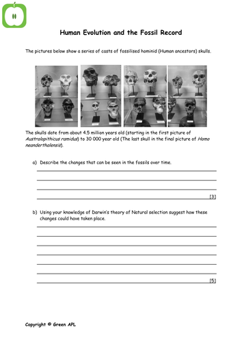 GCSE Biology worksheets | Teaching Resources