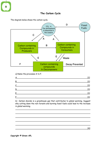 gcse biology worksheets teaching resources
