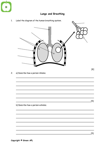 pdf, 46.42 KB