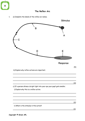 gcse biology worksheets teaching resources