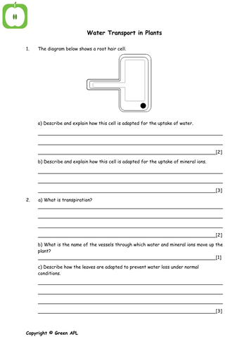 GCSE Biology worksheets | Teaching Resources