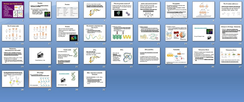 ebook comparative hearing insects