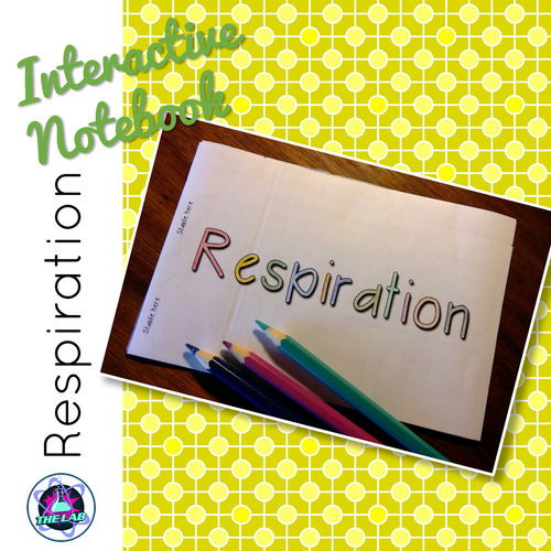 Respiration Interactive Notebook Activities