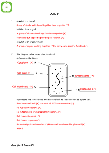 GCSE Biology Answer sheets | Teaching Resources