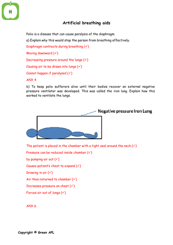 GCSE Biology Answer sheets | Teaching Resources