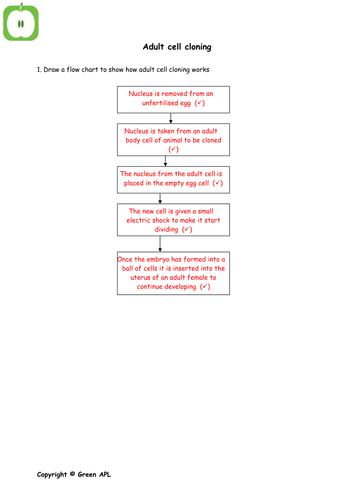 GCSE Biology Answer sheets