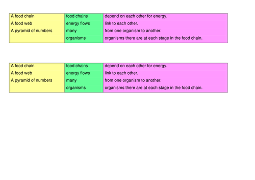 7C Environment and Feeding Relationships Scheme of Work | Teaching ...