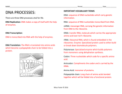 Dna Processes Dna Replication And Protein Synthesis Worksheets