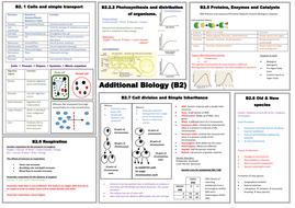 B2 mind map / summary sheet | Teaching Resources